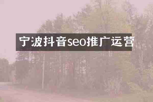 宁波抖音seo推广运营
