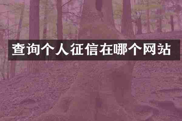 查询个人征信在哪个网站