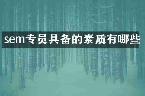 sem专员具备的素质有哪些