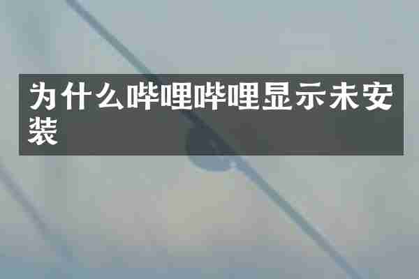 为什么哔哩哔哩显示未安装