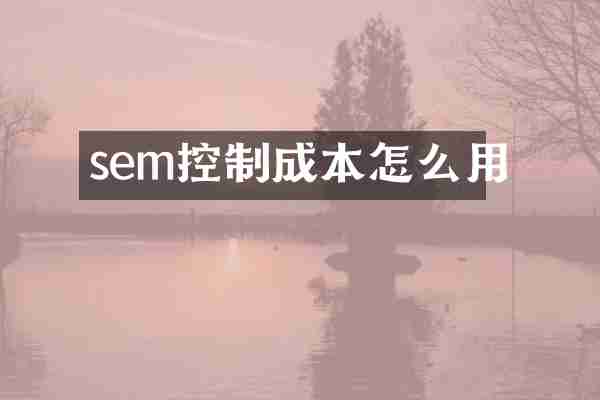 sem控制成本怎么用