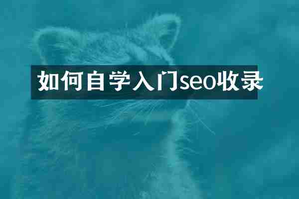 如何自学入门seo收录