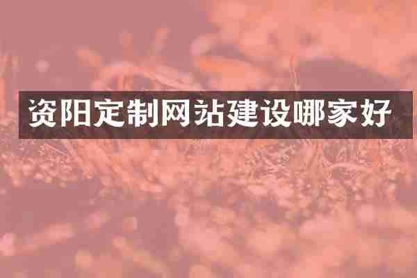 资阳定制网站建设哪家好