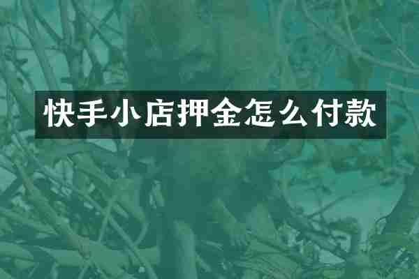 快手小店押金怎么付款