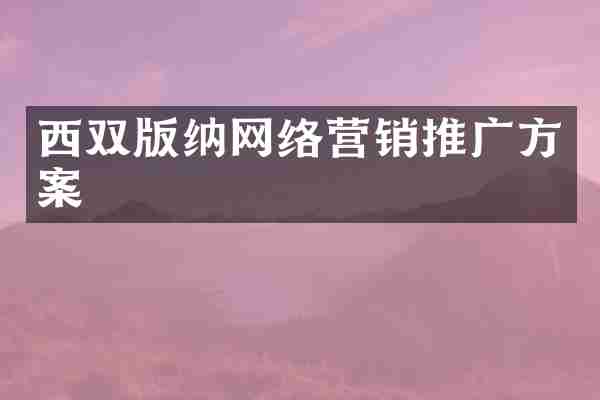 西双版纳网络营销推广方案
