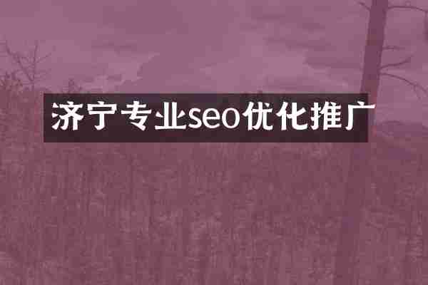济宁专业seo优化推广