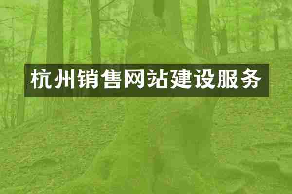 杭州销售网站建设服务