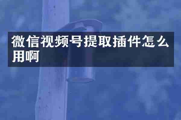 微信视频号提取插件怎么用啊