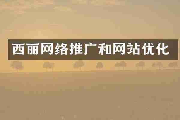 西丽网络推广和网站优化