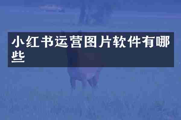 小红书运营图片软件有哪些