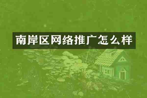 南岸区网络推广怎么样
