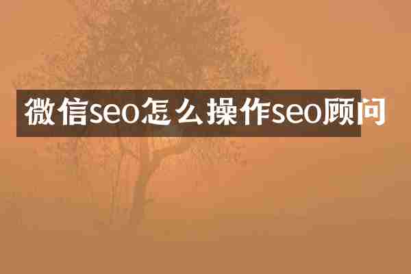 微信seo怎么操作seo顾问