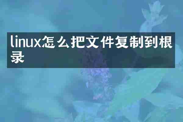linux怎么把文件复制到根目录