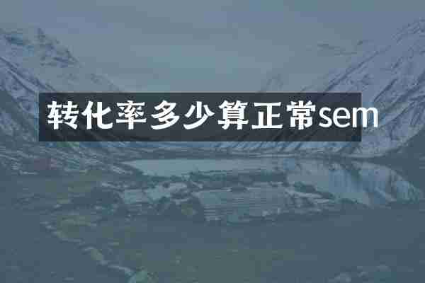 转化率多少算正常sem