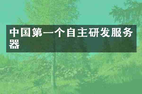 中国第一个自主研发服务器