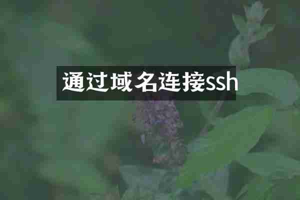 通过域名连接ssh