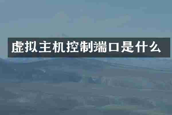 虚拟主机控制端口是什么