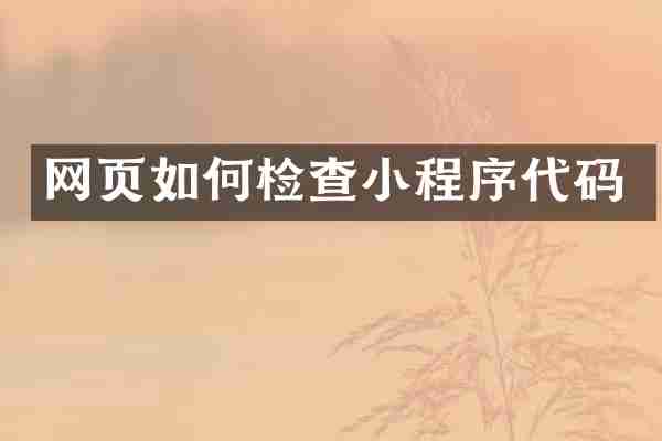 网页如何检查小程序代码