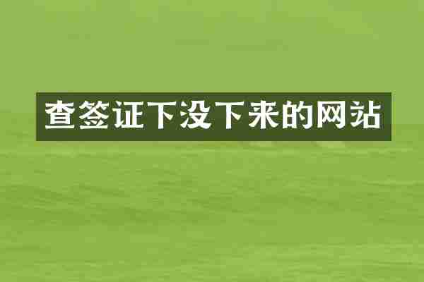 查签证下没下来的网站