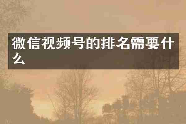 微信视频号的排名需要什么