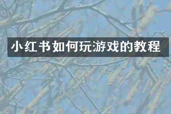 小红书如何玩游戏的教程