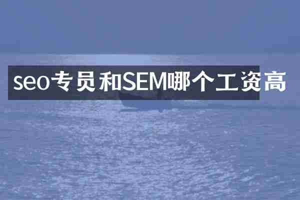 seo专员和SEM哪个工资高
