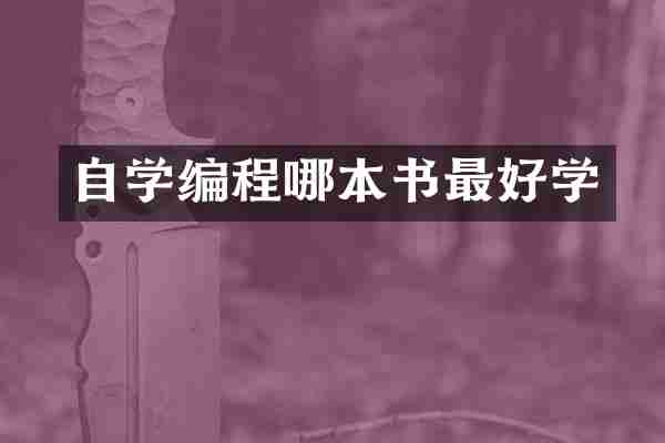 自学编程哪本书最好学