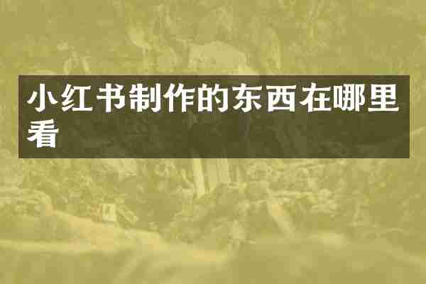 小红书制作的东西在哪里看