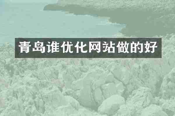 青岛谁优化网站做的好