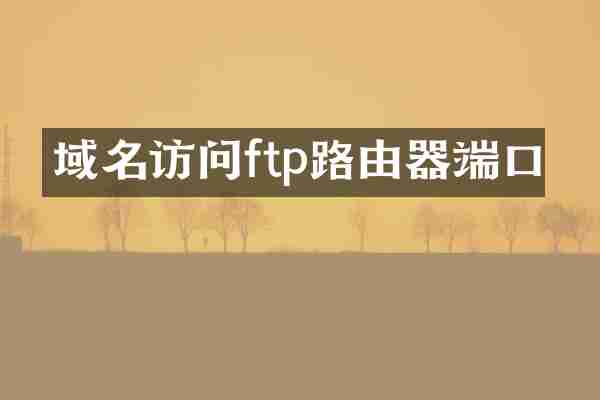 域名访问ftp路由器端口