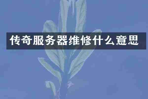 传奇服务器维修什么意思