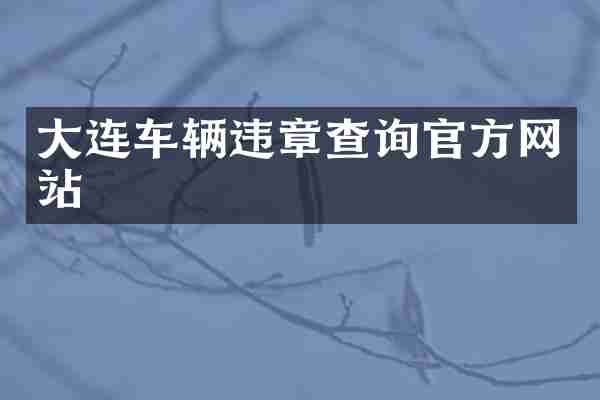 大连车辆违章查询官方网站