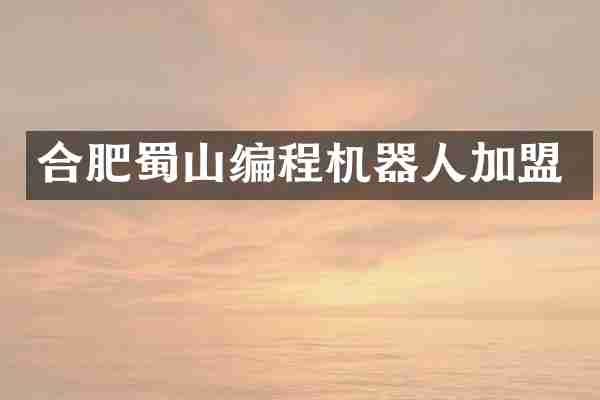 合肥蜀山编程机器人加盟