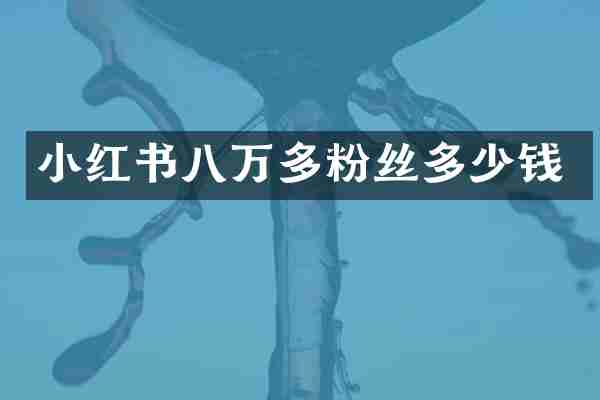小红书八万多粉丝多少钱