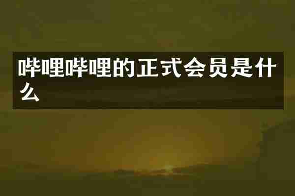 哔哩哔哩的正式会员是什么