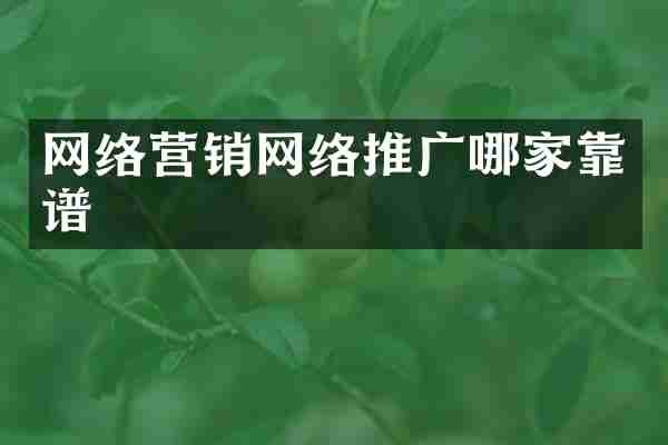 网络营销网络推广哪家靠谱