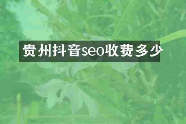 贵州抖音seo收费多少