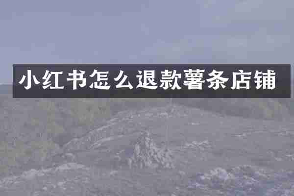 小红书怎么退款薯条店铺