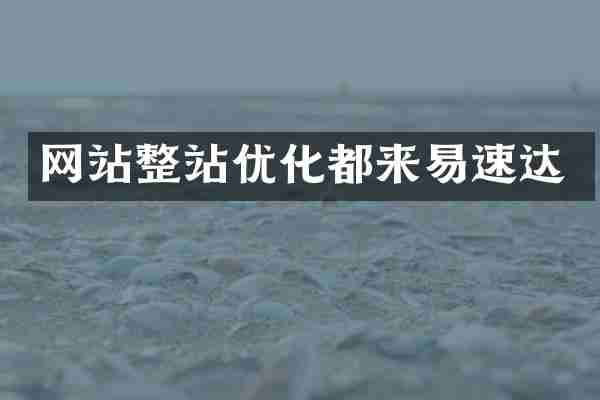 网站整站优化都来易速达