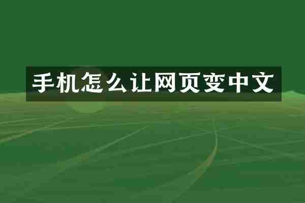 手机怎么让网页变中文