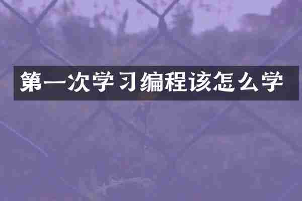 第一次学习编程该怎么学