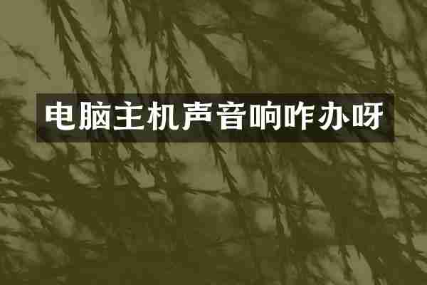 电脑主机声音响咋办呀