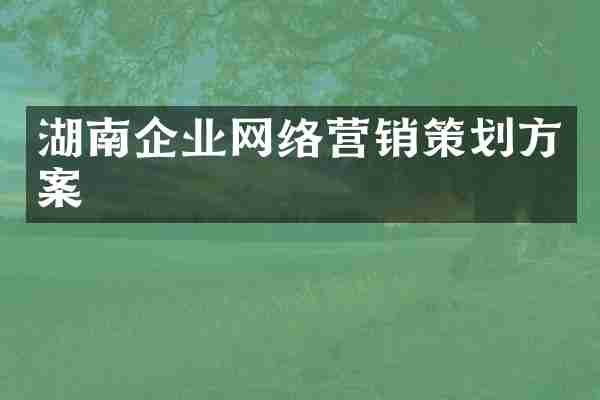 湖南企业网络营销策划方案