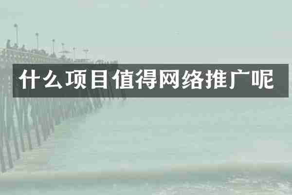 什么项目值得网络推广呢