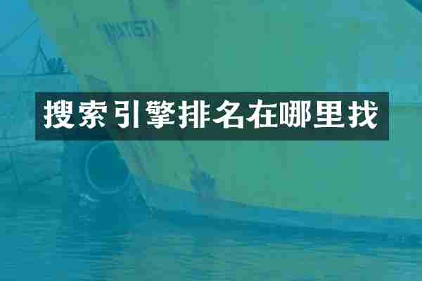 搜索引擎排名在哪里找