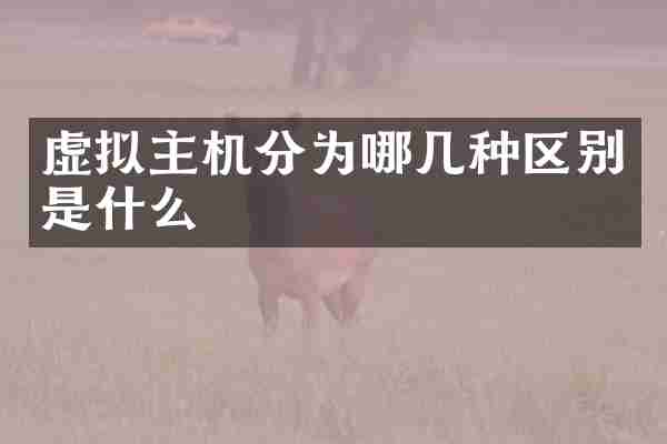 虚拟主机分为哪几种区别是什么