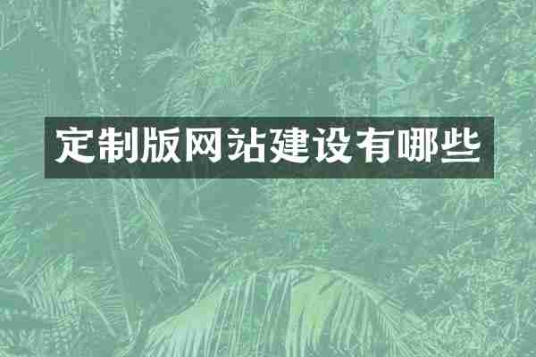 定制版网站建设有哪些