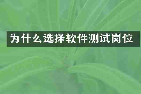 为什么选择软件测试岗位