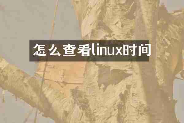 怎么查看linux时间