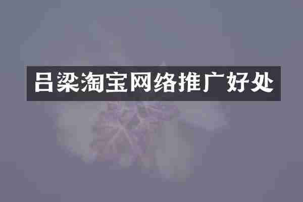 吕梁淘宝网络推广好处